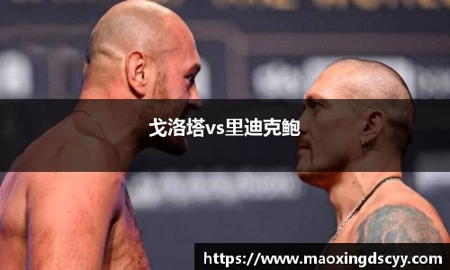 戈洛塔vs里迪克鲍